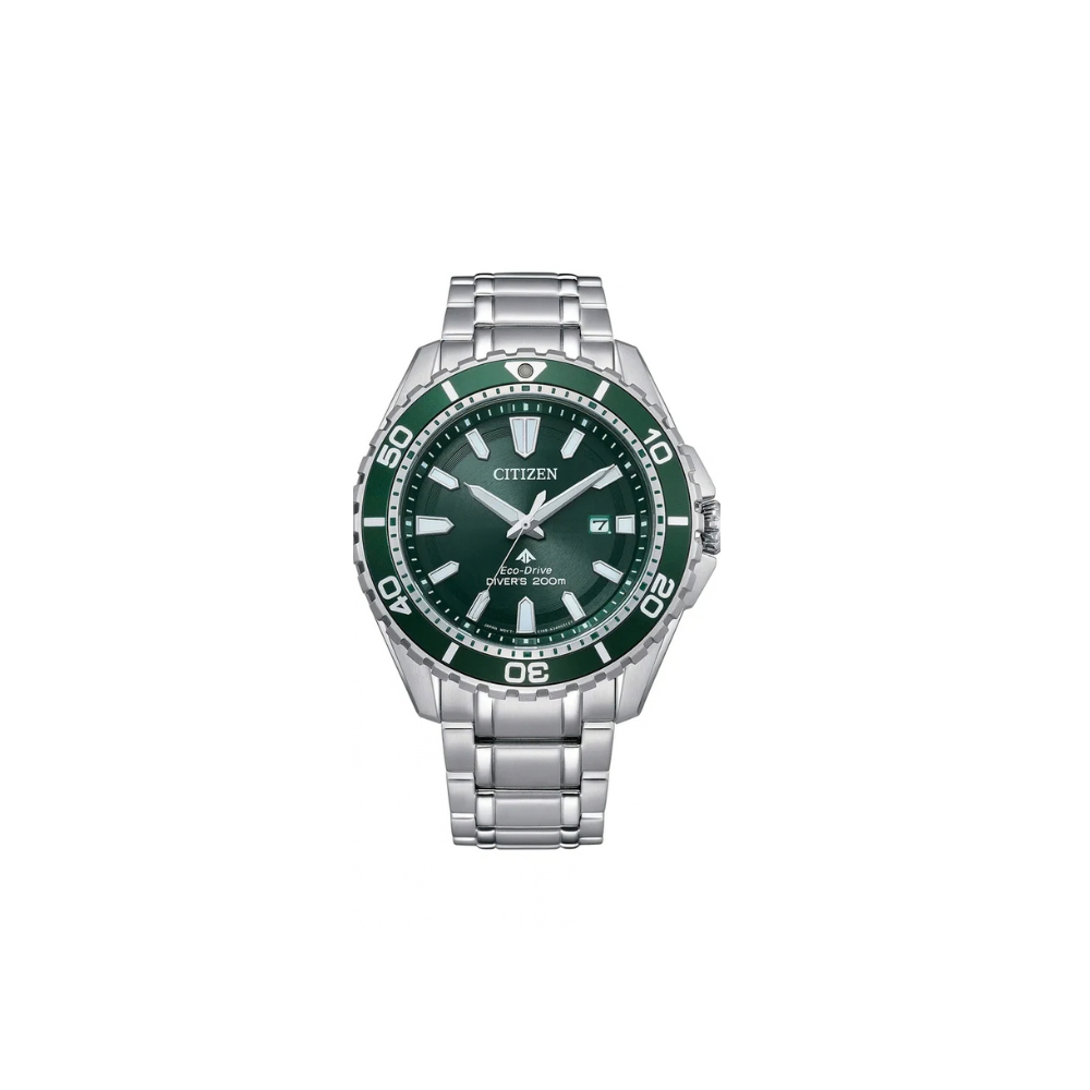 Citizen Promaster Diver Eco-Drive Watch